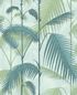 112/1001 – tapeta Palm Jungle Icons Cole & Son