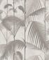 112/1004 – tapeta Palm Jungle Icons Cole & Son