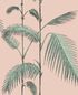112/2005 – tapeta Palm Leaves Icons Cole & Son