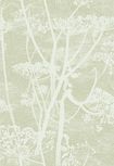 112/8029 – tapeta Cow Parsley Icons Cole & Son