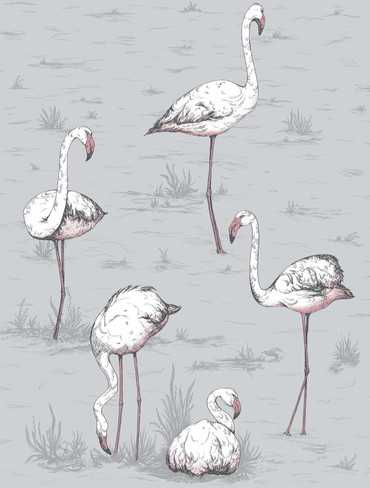 112/11040 – tapeta Flamingos Icons Cole & Son