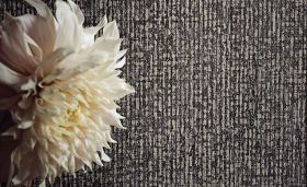 W917/05 – tapeta Niku Tungsten Herbaria Wallcovering Black Edition