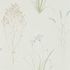 SN216486 – tapeta Farne Grasses Silver/Ivory Embleton Bay Sanderson