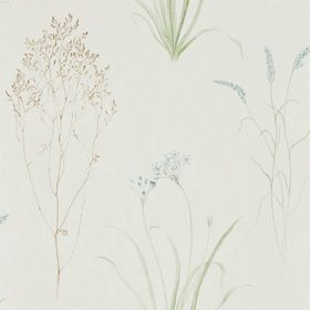 SN216486 – tapeta Farne Grasses Cream Sage Embleton Bay Sanderson