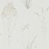 SN216487 – tapeta Farne Grasses Silver/Ivory Embleton Bay Sanderson