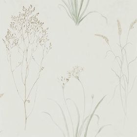 SN216488 – tapeta Farne Grasses Willow/Pebble Embleton Bay Sanderson