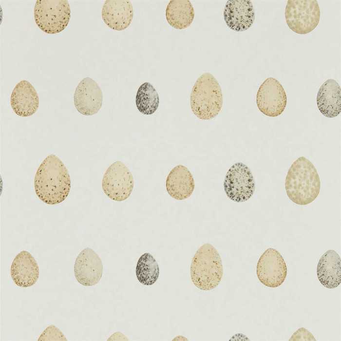 SN216505 – tapeta Nest Egg Corn/Graphite Embleton Bay Sanderson
