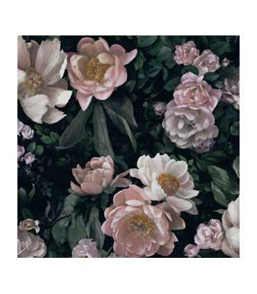 7234 – tapeta New Dawn Rose In Bloom Borastapeter
