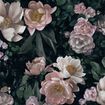 7234 – tapeta New Dawn Rose In Bloom Borastapeter