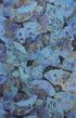 W7146-02 – tapeta Fanfare Belvoir Wallpapers Matthew Williamson