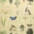 PJD6001/01 – tapeta Flora and Fauna Parchment Picture Book Wallpapers John Derian for Designers Guild