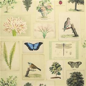 PJD6001/01 – tapeta Flora and Fauna Parchment Picture Book Wallpapers John Derian for Designers Guild