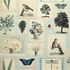 PJD6001/02 – tapeta Flora and Fauna Cloud Blue Picture Book Wallpapers John Derian for Designers Guild