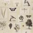 PJD6001/03 – tapeta Flora and Fauna Canvas Picture Book Wallpapers John Derian for Designers Guild