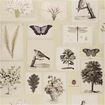 PJD6001/03 – tapeta Flora and Fauna Canvas Picture Book Wallpapers John Derian for Designers Guild