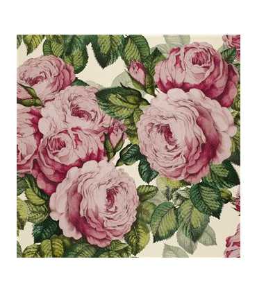 PJD6002/02 – tapeta The Rose Tuberose Picture Book Wallpapers John Derian for Designers Guild