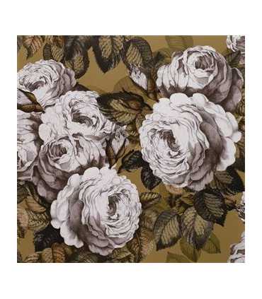 PJD6002/04 – tapeta The Rose Copper Picture Book Wallpapers John Derian for Designers Guild