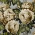 PJD6002/06 – tapeta The Rose Steel Picture Book Wallpapers John Derian for Designers Guild