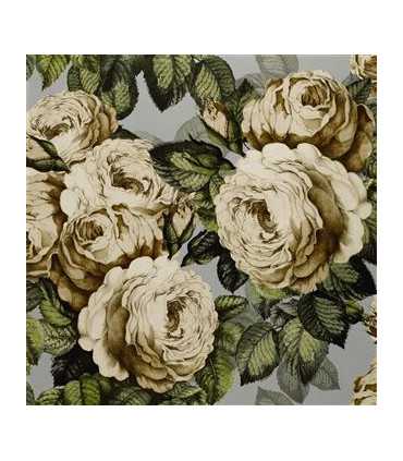 PJD6002/06 – tapeta The Rose Steel Picture Book Wallpapers John Derian for Designers Guild