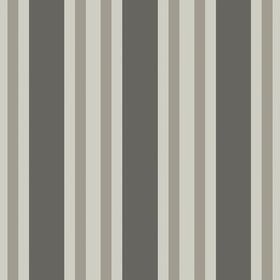 110/1001 – tapeta Polo Stripe Marquee Stripes Cole & Son