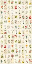 341086 – fototapeta Botanical Paper Pip Studio Eijffinger