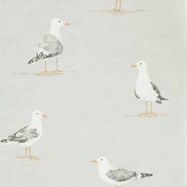 216565 – tapeta Shore Birds – Gull Port Isaac Sanderson Home