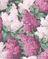 115/1001 – tapeta Lilac Botanical Cole&Son