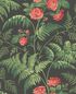 115/10030 – tapeta Rose Botanical Cole&Son