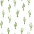 143-138899 - tapeta Small Desert Cactus Green House Esta Home