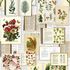 143-158825 - fototapeta Xxl Pages Of A Botanical Book Green House Esta Home