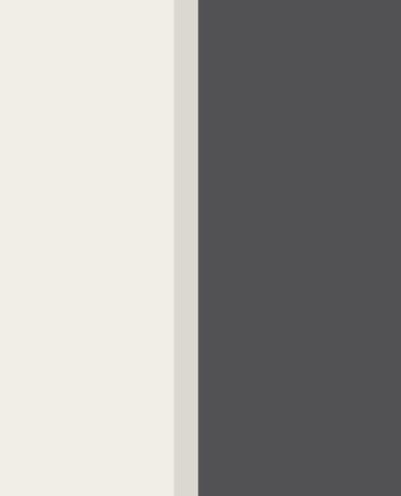 377166 – tapeta Stripes+ Eijffinger