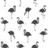 151-138993 - tapeta Flamingos Jungle Fever Esta Home
