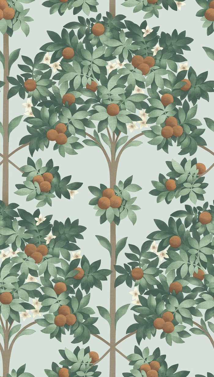 117/1004 – tapeta Orange Blossom Seville Cole&Son