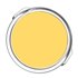 2020-40 Yellow Rain Coat Benjamin Moore