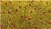 WDPO2202 – fototapeta Poppies Mesh Wall&Deco