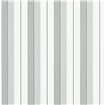 PRL020/09 - tapeta Aiden Stripe Signature Stripe Library Ralph Lauren