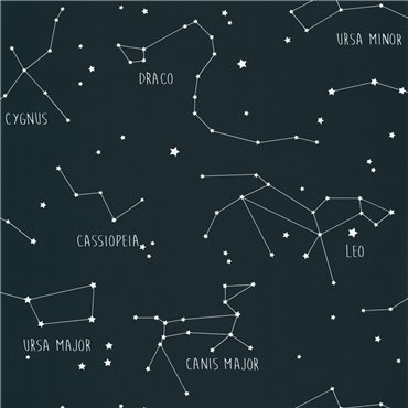 101916918 – tapeta Constellations Our Planet Caselio