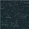 101916918 – tapeta Constellations Our Planet Caselio