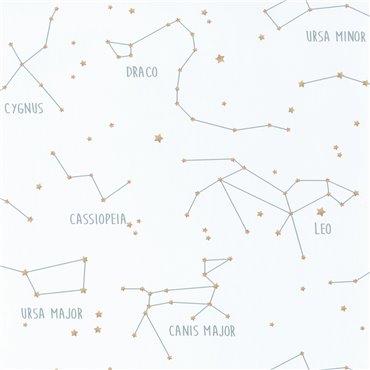 101917125 – tapeta Constellations Our Planet Caselio
