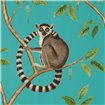 216663 – tapeta Ringtailed Lemur Sanderson The Glasshouse