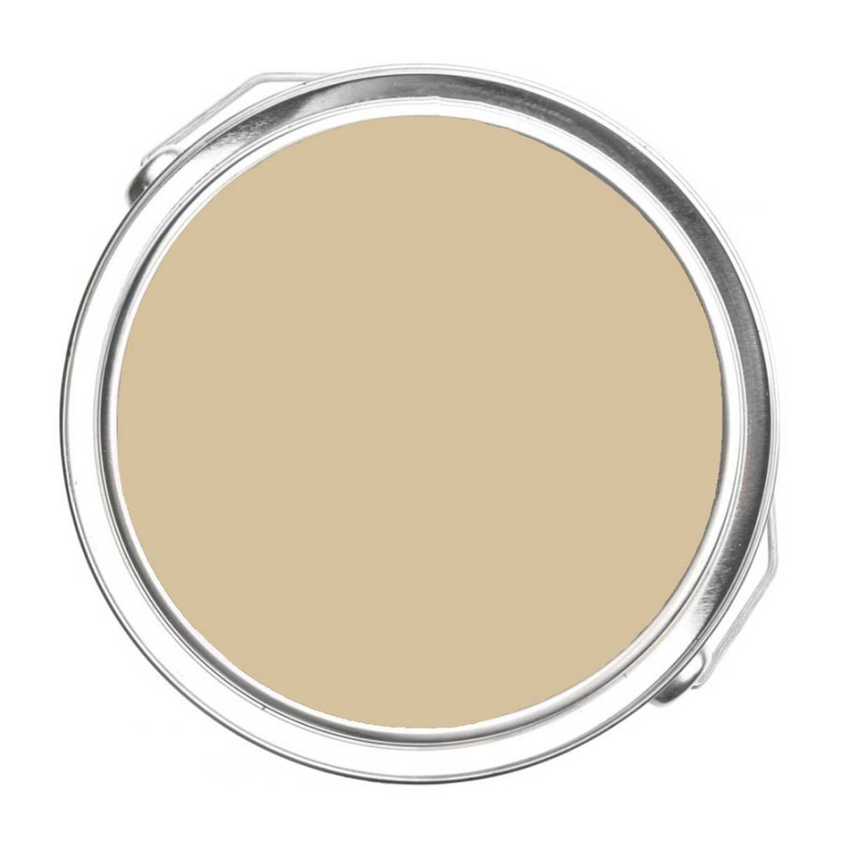 CC-150 Sandy Brown a Paint Color by Benjamin Moore