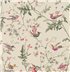 100/14071 – tapeta Hummingbirds Archive Anthology Cole & Son