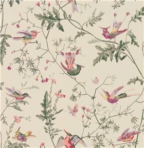 100/14071 – tapeta Hummingbirds Archive Anthology Cole & Son