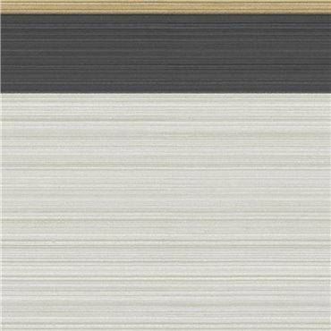 110/10045 – border Jaspe Border Marquee Stripes Cole & Son