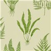 DAPGWO102 - tapeta Woodland Ferns One Sixty Sanderson