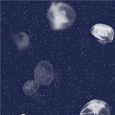 5800011 - panel Jellyfish Blue Essentia 150/50 Coordonne