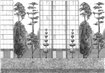 8000077 - panel Urban Garden Blackandwhite 40th Aniversary Coordonne