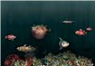 9500500 - panel Deep Ocean Atlantic Naturae Coordonne