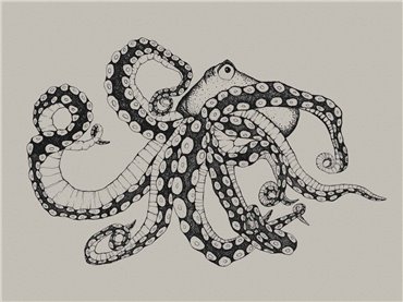 9500800 - panel Octopus X-Ray Ink Naturae Coordonne