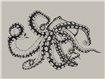 9500800 - panel Octopus X-Ray Ink Naturae Coordonne